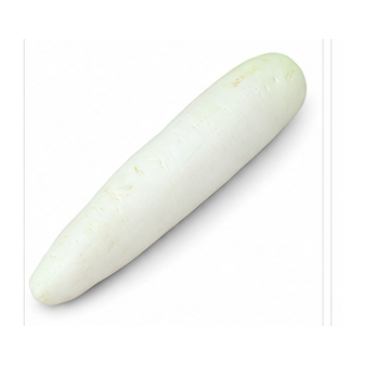 영국무 Mooli (1ea)