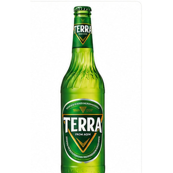 테라 병맥주 350ml