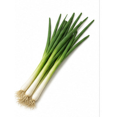 파 (1bunch)