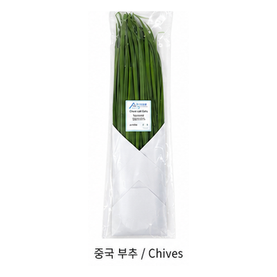 중국 부추 / Chives